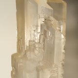Yeso
317 x 76 mm
(Autor: Sante Celiberti)