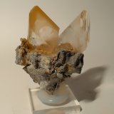 Yeso
66 x 65 mm
(Autor: Sante Celiberti)