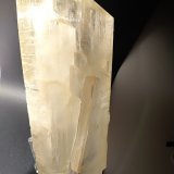 Yeso
255 x 97 mm
(Autor: Sante Celiberti)