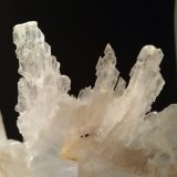 Yeso
230 x 180 mm
(Autor: Sante Celiberti)