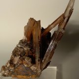 Yeso
130 x 70 mm
(Autor: Sante Celiberti)