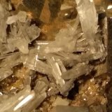 Pirita, Yeso
60 x 47 mm
(Autor: Sante Celiberti)