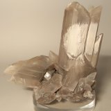 Yeso
90,5 x 89 mm
(Autor: Sante Celiberti)