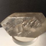 Yeso
101 x 50,5 mm
(Autor: Sante Celiberti)