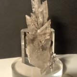 Yeso
83 x 29 mm
(Autor: Sante Celiberti)