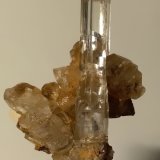 Yeso
42 x 31,2 mm
(Autor: Sante Celiberti)