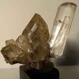 Yeso
40 x 46 mm
(Autor: Sante Celiberti)