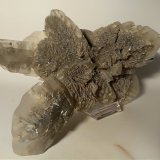 Yeso
250 x 160 mm
(Autor: Sante Celiberti)