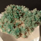 Yeso, Crisocola
46,5 x 40,6 mm
(Autor: Sante Celiberti)