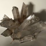 Yeso
150 x 100 mm
(Autor: Sante Celiberti)