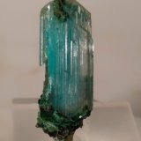 Yeso, Crisocola
29 x 9,5 mm
(Autor: Sante Celiberti)