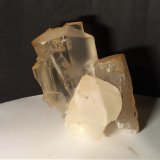 Yeso
190 x 155 mm
(Autor: Sante Celiberti)