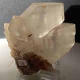 Yeso
125 x 110 mm
(Autor: Sante Celiberti)