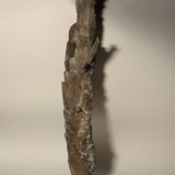 Yeso
375 x 79 mm
(Autor: Sante Celiberti)