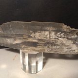 Yeso
185 x 48 mm
(Autor: Sante Celiberti)