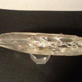 Yeso
185 x 48 mm
(Autor: Sante Celiberti)