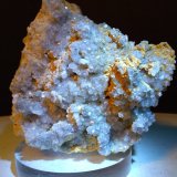 Celestina
82 x 78 mm
(Autor: Sante Celiberti)