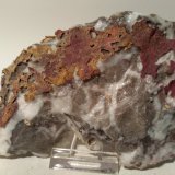 Celestina, Cinabrio
150 x 95 mm
(Autor: Sante Celiberti)