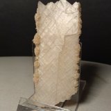 Anhidrita, Dolomita
82,3 x 36,4 mm
(Autor: Sante Celiberti)