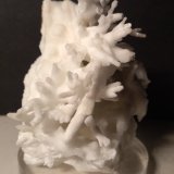 Aragonito (variedad flos ferri)
72 x 60 mm
(Autor: Sante Celiberti)