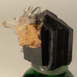 Ilvaita, Cuarzo
20,2 x 19,9 mm
(Autor: Sante Celiberti)