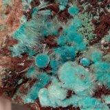 Aurichalcita, Rosasita
107 x 62 mm
(Autor: Sante Celiberti)