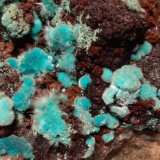 Aurichalcita, Rosasita
107 x 62 mm
(Autor: Sante Celiberti)