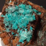 Aurichalcita
65 x 65 mm
(Autor: Sante Celiberti)