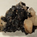 Ilvaita, Cuarzo pseudomórfico de Ilvaita, Cuarzo
40 x 26 mm
(Autor: Sante Celiberti)