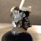 Ilvaita, Cuarzo
19 x 14 mm
(Autor: Sante Celiberti)