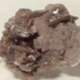 Moscovita
60 x 47 mm
(Autor: Sante Celiberti)