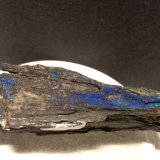 Azurita sobre Hedenbergita.
64 x 29 mm
(Autor: Sante Celiberti)