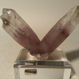 Cuarzo (variedad amatista), Pirita
72 x 47 mm
(Autor: Sante Celiberti)