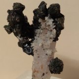 Esfalerita, Cuarzo
40 x 33 mm
(Autor: Sante Celiberti)