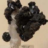 Esfalerita, Cuarzo
40 x 33 mm
(Autor: Sante Celiberti)