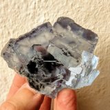 Fluorita
7,3 x 5,0 cm.
(Autor: carles)