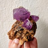 Fluorita
5,5 x 6,5 cm.
(Autor: carles)