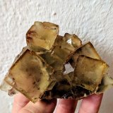 Fluorita
8,5 x 6,6 cm.
(Autor: carles)