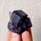 Fluorita, Calcita
4,0 x 4,0 cm.
(Autor: carles)