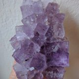 Fluorita
7,5 x 11,2 cm.
(Autor: carles)