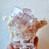 Fluorita
9,0 x 7,3 cm.
(Autor: carles)