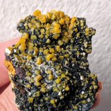 Mimetita
4,7 x 3,8 cm.
(Autor: carles)
