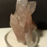 Cuarzo (variedad amatista)
67 x 69 mm
(Autor: Sante Celiberti)