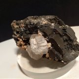 Fluorita, Pirita, Galena, Esfalerita, Dolomita
68 x 36 mm
(Autor: Sante Celiberti)