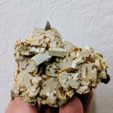 Microclina, Titanita
5,4 x 4,7 cm.
(Autor: carles)