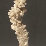 Barita, Pirita.
45 x 15 mm
(Autor: Sante Celiberti)