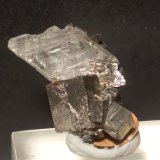 Yeso, Pirita.
27 x 18 mm
(Autor: Sante Celiberti)