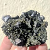 Galena, Calcopirita, Cuarzo
5,4 x 4,3 cm.
(Autor: carles)