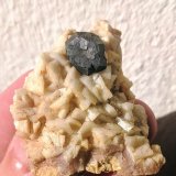 Galena, Dolomita
4,1 x 4,6 cm.
(Autor: carles)