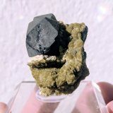 Galena, Siderita
2,6 x 3,3 cm.
(Autor: carles)